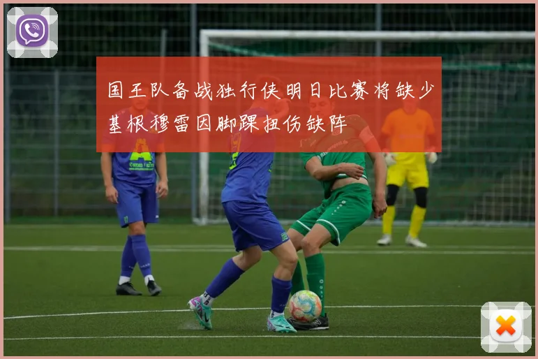 国王队备战独行侠明日比赛将缺少基根穆雷因脚踝扭伤缺阵