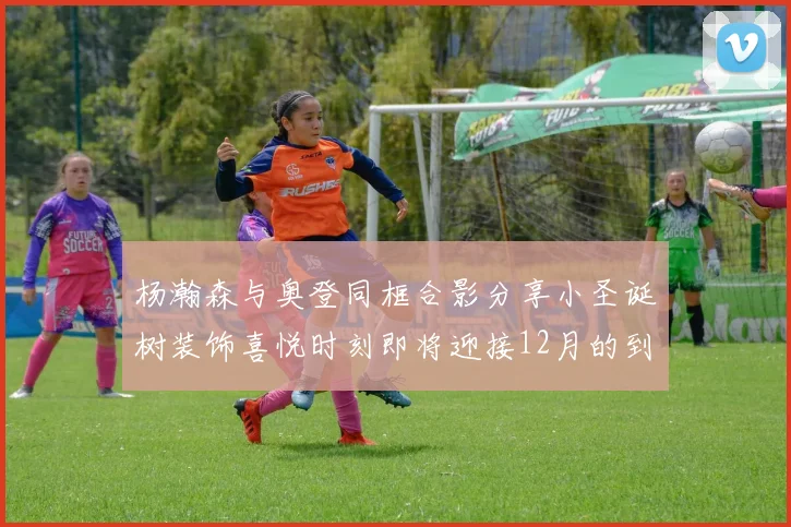 杨瀚森与奥登同框合影分享小圣诞树装饰喜悦时刻即将迎接12月的到来