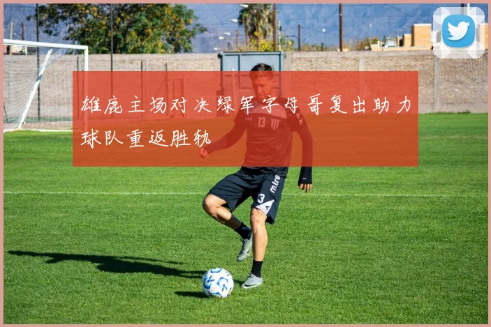 雄鹿主场对决绿军字母哥复出助力球队重返胜轨