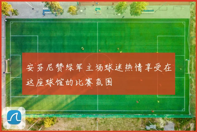 安芬尼赞绿军主场球迷热情享受在这座球馆的比赛氛围