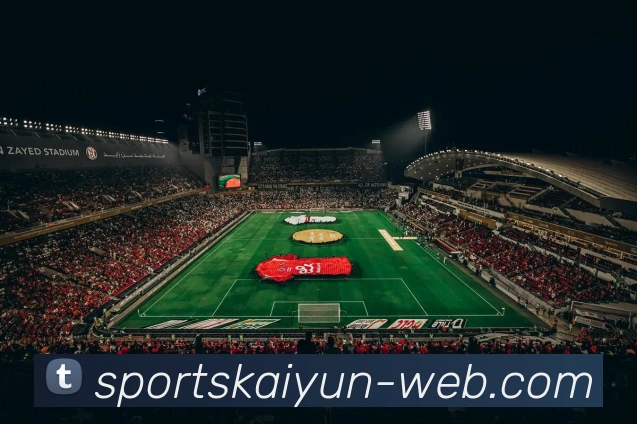 开云体育APP 封面图